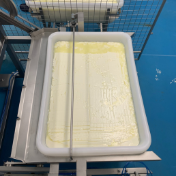 Fromagex Stores (22)