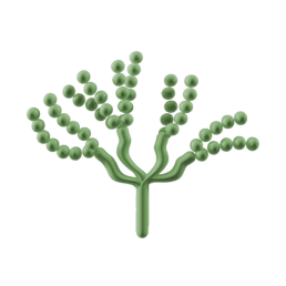 Fromagex Website assets (11)