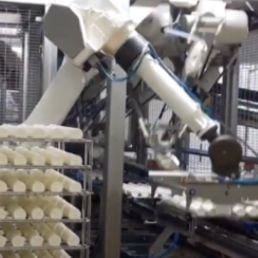 Cheese packaging automation