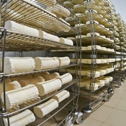 Cheese form