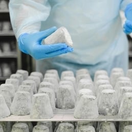 Fromagex - Fromage en laboratoire