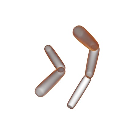 GEO-Yeast