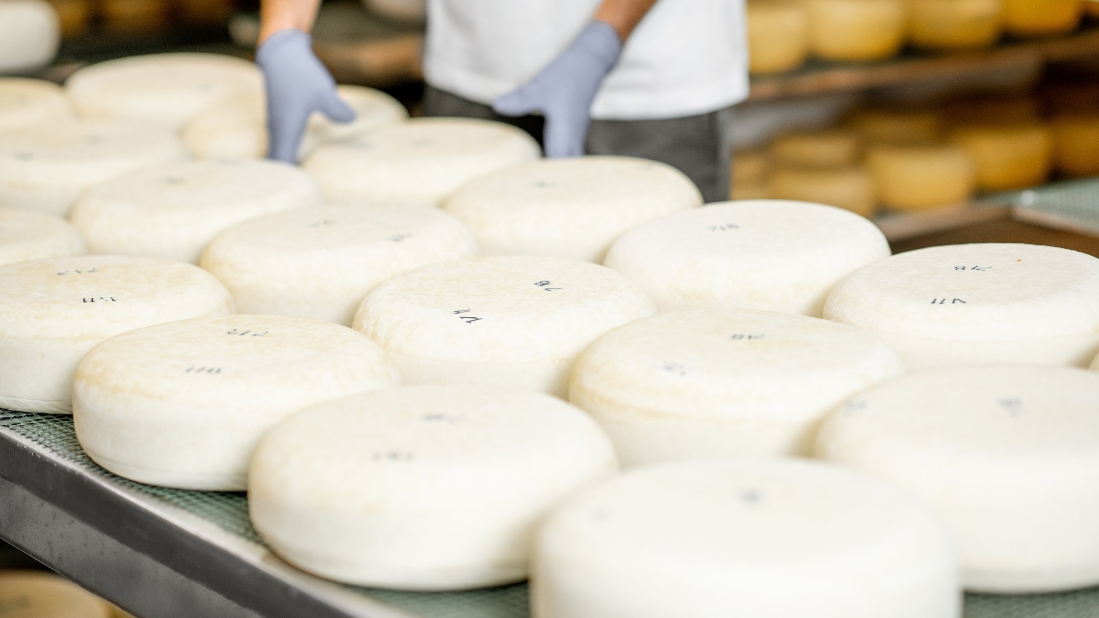 Natamycin in cheesemaking