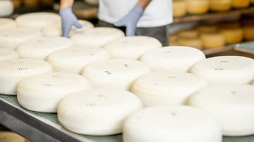 Natamycin in cheesemaking