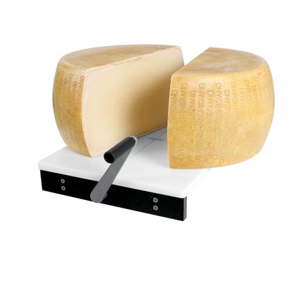 Square-540000 PARMESAN PRO_CHEESE_3