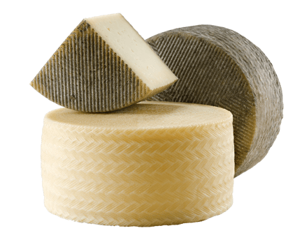 manchego