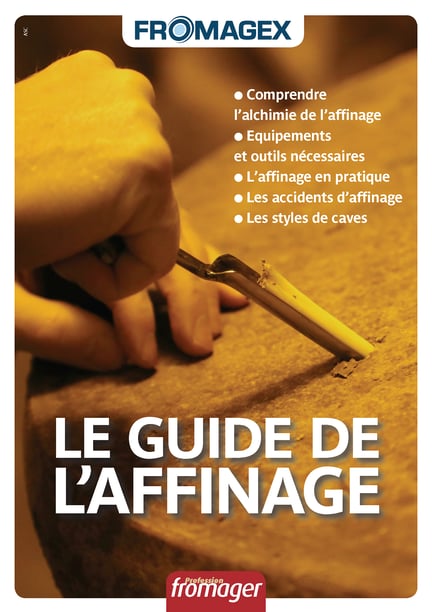 GuideAffVF